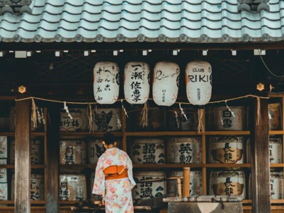 損害保険のみらい