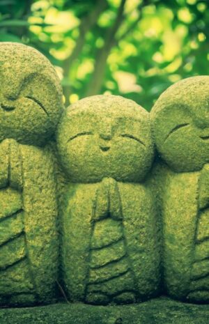 みらいコーヒーの通販